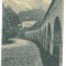 1714 - CODLEA, Brasov, Romania - old postcard - unused