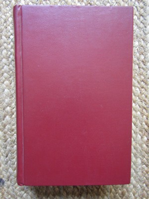 Ion San-Giorgiu - Goethe foto