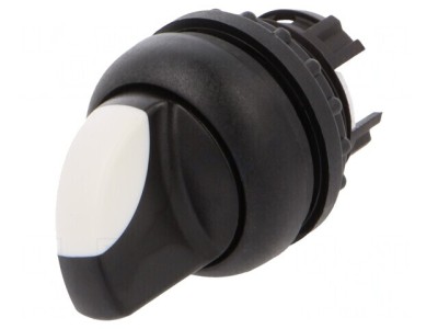 Comutator Rotativ 22mm Alb-Negru foto