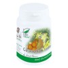Gastrophyt Forte 60 capsule Medica, Medica Farmimpex