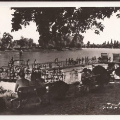 Carte Postala veche - Arad, Strand pe malul Muresului - Circulata 1962