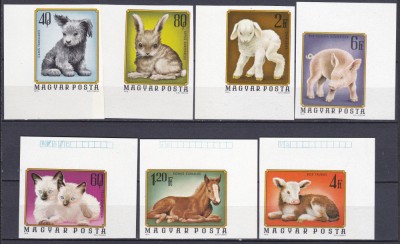 DB1 Fauna Domestica Pui de Animale Ungaria 1974 7 v. MNH Colturi de coala foto