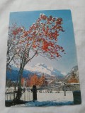 Carte postala pom