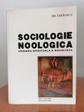 Ilie Bădescu, Sociologie noologică. Ordinea spirituală a societății