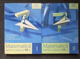 CLUBUL MATEMATICIENILOR MATEMATICA PENTRU CLASA A VII-A - Perianu, Balica, Savulescu (2 volume)
