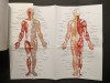 MASAJUL Reflexogen, Traditional Chinez, Japonez, Indian, Clasic, Vibromasajul si Notiuni de Anatomie Dr Sabin Ivan 245pag +Plansa mare TRATAMENTE 2007