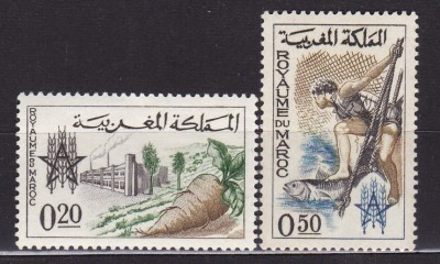 MAROC 1962 SERIE MNH foto