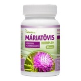 Tablete extract de armurariu, papadie si turmeric Netamin 30 buc
