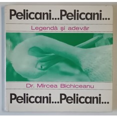 PELICANI ... PELICANI ... , LEGENDA SI ADEVAR de MIRCEA BICHICEANU , 1973