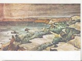 bnk cp Constanta - Muzeul de arta - Bunescu - Tarmuri dobrogene - necirculata