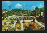 CPIB 19817 CARTE POSTALA - TIMISOARA, PARCUL ROZELOR, Circulata, Fotografie