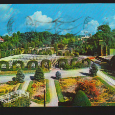 CPIB 19817 CARTE POSTALA - TIMISOARA, PARCUL ROZELOR