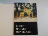 BUCUR MARXER MONTECCHI , VILLA &quot;LA PALAZZINA&quot; SCANDIANO 1/25 SETTEMBRE , 1994