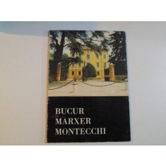 BUCUR MARXER MONTECCHI , VILLA &quot;LA PALAZZINA&quot; SCANDIANO 1/25 SETTEMBRE , 1994