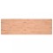 Blat de birou, 180x55x2,5 cm, lemn masiv de fag