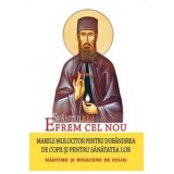 Sfantul Efrem Cel Nou, Marele Mijlocitor Pentru Dobandirea De Copii Si Pentru Sanatatea Lor, - Editura Sophia