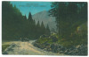 5361 - COLIBITA, Bistrita Nasaud, old car, Romania - old postcard - used, Circulata, Printata