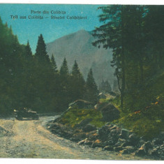 5361 - COLIBITA, Bistrita Nasaud, old car, Romania - old postcard - used