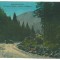 5361 - COLIBITA, Bistrita Nasaud, old car, Romania - old postcard - used