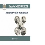 Amintiri din Junimea - Iacob Negruzzi