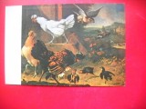 HOPCT 14958 IN PRIMEJDIE- MELCHIOR D HONDECOETER -- CP PICTURA - -NECIRCULATA