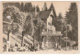 AMS - ILUSTRATA 1326, TUSNAD - GARA, ANUL 1953, cu perforari