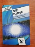 Kosta Danaos, Nei Kung. &Icirc;nvățăturile secrete ale războinicilor &icirc;nțelepți