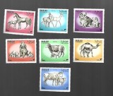 sharjah animale
