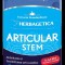 Articular stem 30cps vegetale
