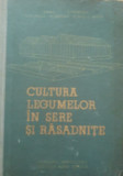 CULTURA LEGUMELOR IN SERE SI RASADNITE - I. MAIER (CU AUTOGRAFUL AUTORULUI)