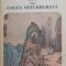 SUN SAU CALEA NETURBURATA. MIT MONGOL-GEORGE CALINESCU-221934