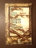 Adriana Bittel - Lucruri &icirc;ntr-un pod albastru (puțin uzată, vezi descriere)
