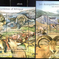 TOGO 2011, Fauna, serie neuzata, MNH