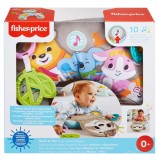 Perna de joaca pentru bebelusi Fisher-Price Lenes cu muzica si vibratii