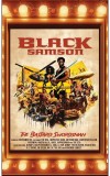 Black Samson, The Bastard Swordsman - Caseta Audio | Wu-Tang Clan, Allah Mathematics