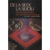 De la Silex la Siliciu - Istoria mijloacelor de comunicare in masa