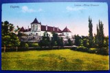 Fagaras 1925 ? - Cetatea Mihai Viteazul - printata, color, necirculata, Fotografie