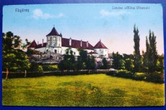 Fagaras 1925 ? - Cetatea Mihai Viteazul - printata, color, necirculata