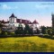 Fagaras 1925 ? - Cetatea Mihai Viteazul - printata, color, necirculata