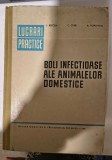 I. Bercea- Titlu: Boli infectioase ale animalelor domestice