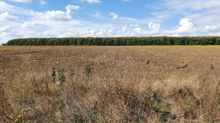 Proprietar, vand teren agricol extravilan in sat. Trestieni, com. Ulmi, jud. GR