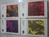 Tom Jones - Fielding 4 volume
