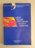 P. Moldovan - Bazele tratarii topiturilor metalice neferoase -1998