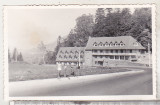 Bnk foto Hotel Paraul Rece Predeal - anii `70, Alb-Negru, Romania de la 1950, Cladiri