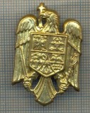 Y 1541 INSIGNA-MILITARA -EMBLEMA COIFURA -PENTRU COLECTIONARI