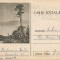 *Romania, Indraznetul, c.p.s. circulata intern, 1959