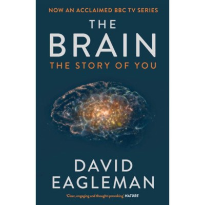 The Brain - David Eagleman foto