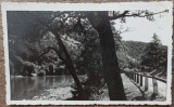 Fotografie tip CP Alex. Petit Arhitect, loc neidentificat