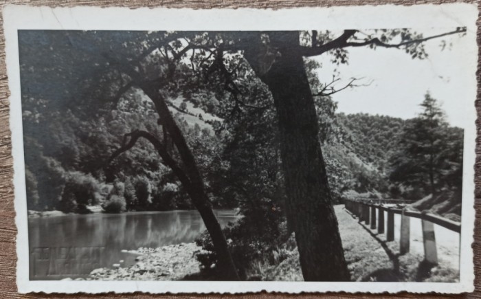 Fotografie tip CP Alex. Petit Arhitect, loc neidentificat