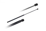 Amortizor capota AUDI A6 (4B2, C5) (1997 - 2005) AIC 53902